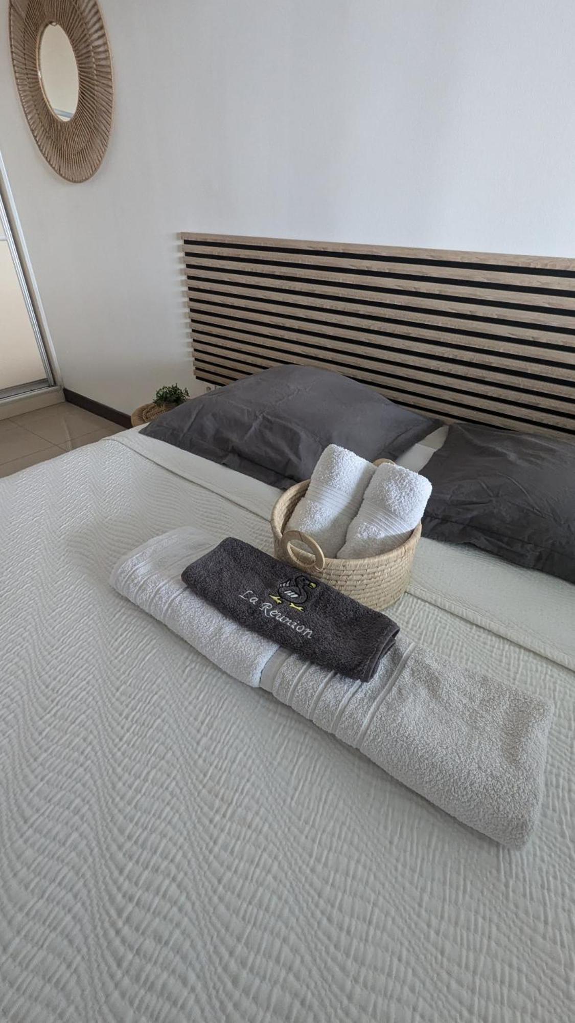 Appartamento Entièrement équipé, climatisé, Wifi, au dernier étage sans vis à vis Saint-Denis Esterno foto